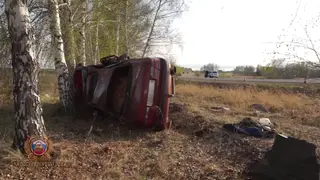 В Красноярском крае автомобилист с двумя подростками в авто вылетел с трассы
