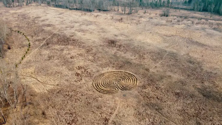 В Красноярске на острове Татышев обнаружили странные круги из примятой травы