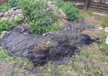 Жители Бурятии засорили канализацию простынями  