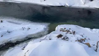 Золотодобывающее предприятие «Среднеманское» загрязняло реку в Партизанском районе