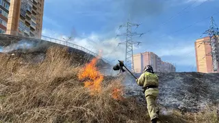 В Красноярском крае зарегистрировано 20 ландшафтных пожаров за сутки