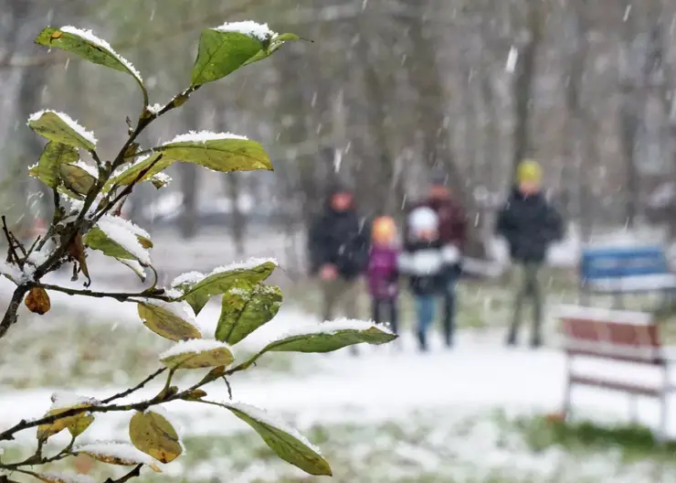 Первая неделя ноября в Красноярске будет прохладной и снежной