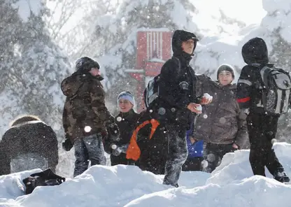 Теплую и снежную погоду обещают жителям Алтайского края в конце декабря