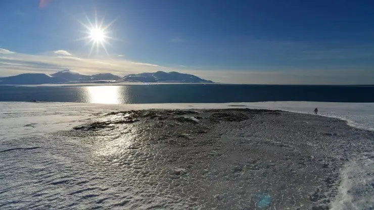 В арктической зоне Красноярского края планируют бесплатно раздать 2,5 тысячи га