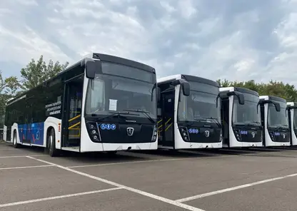 В Красноярске на маршрутах 49 и 87 появятся новые автобусы