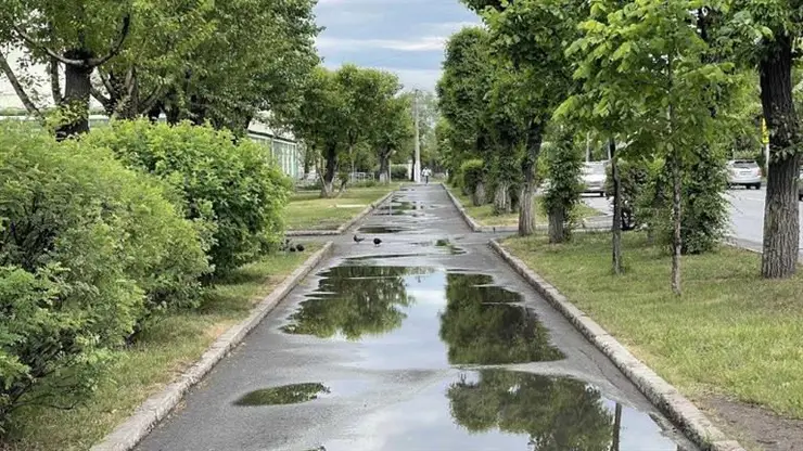 В Красноярске благоустроят ещё несколько участков Вавиловского пешеходного кольца