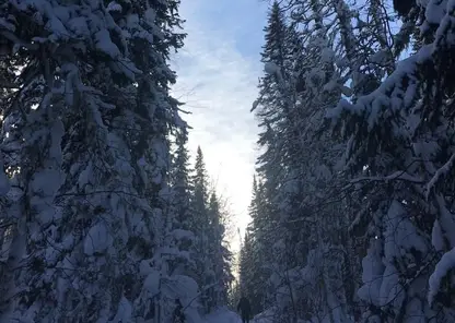Похолодание до -5 градусов ожидается в Красноярске 28 декабря