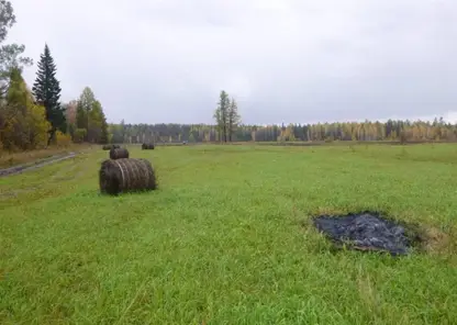 В Иркутской области нашли подозреваемого в поджоге 1,5 тонн сена