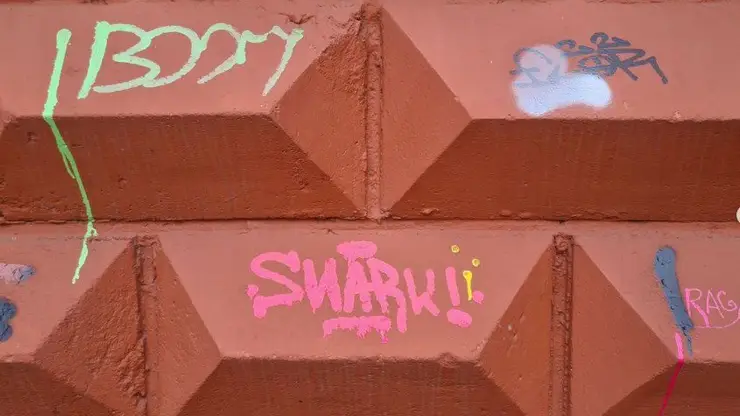 Красноярские подростки на глазах у полиции попытались разрисовать стену здания