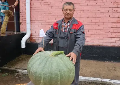 Житель Красноярского края вырастил тыкву весом 41 килограмм