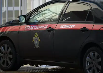 Подозреваемый в изнасиловании ребенка задержан в Омске