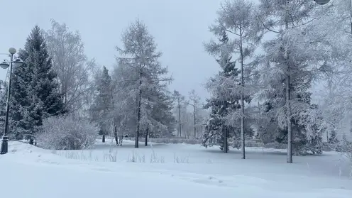 Снежная и ветряная погода ожидает красноярцев 1 января