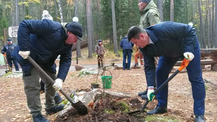 19 саженцев лиственницы высадили на «Красноярских Столбах»