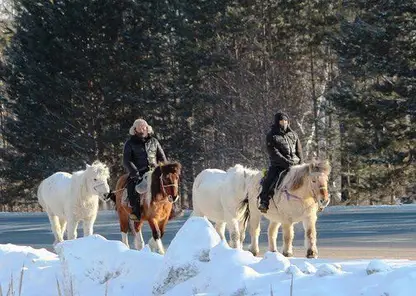 В центре Якутска появится памятник лошадям 