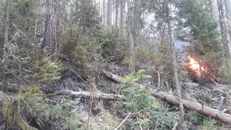 В национальном парке «Красноярские Столбы» пожар произошёл из-за грозы