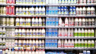 В Красноярске только пять образцов молока можно употреблять