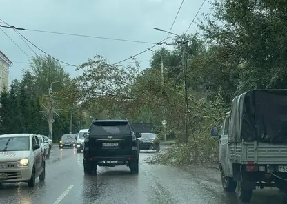 Упавшее на троллейбусные провода дерево на Киренского убрали коммунальщики в Красноярске