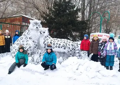 В 12-м детском саду Красноярска появились снежные барсы