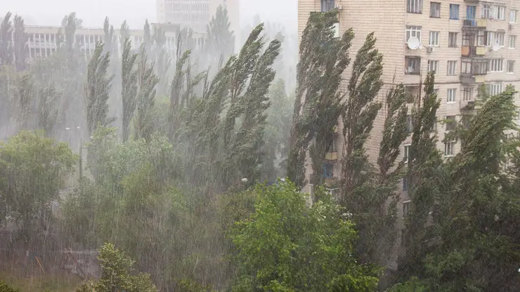 Сильные дожди пройдут 2 июля на юге Красноярского края