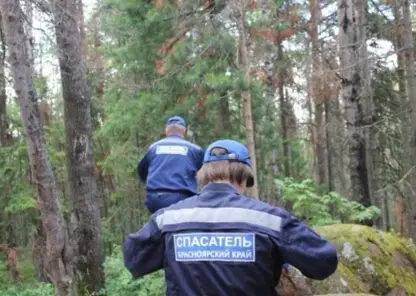 В Красноярске на Столбах с высоты сорвался 49-летний мужчина