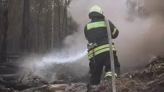 В лесах Приангарья установился чрезвычайный и высокий классы пожарной опасности