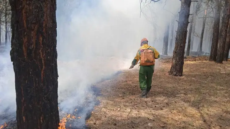 Для борьбы с огнём в лесах Красноярского края применяют взрывчатку