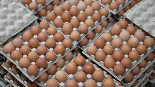 Красноярским магазинам не запрещали продавать яйца поштучно
