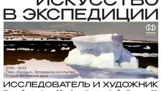 Художественный проект об исследовании Арктики стартует в московском парке «Зарядье»