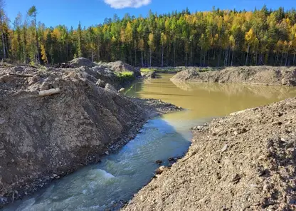 На севере Красноярского края выявлены нарушения в работе золотодобытчиков