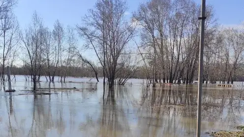 Река Томь в Новокузнецке достигла опасного уровня