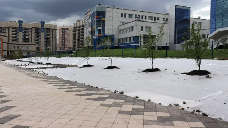 Веревочный парк и автомат для зарядки телефонов появятся в «Яблоневом саду» в Красноярске