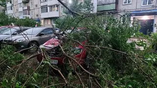 Ураганом в Минусинске повреждены 8 автомобилей