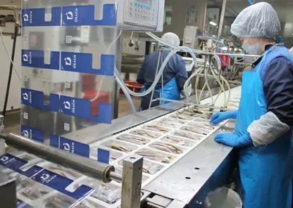 Инструменты бережливого производства внедряют на рыбоперерабатывающем заводе в Сосновоборске