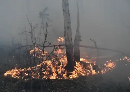 В Каргасокском районе Томской области ожидается высокая пожарная опасность