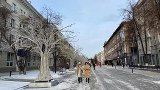 Красноярцев ждет снежная и морозная рабочая неделя