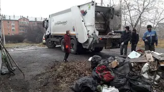 Красноярцы продолжают выбрасывать новогодние елки