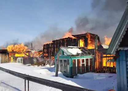 Пожарные спасли из задымленного дома женщину с ребенком в Бирилюсском районе Красноярского края