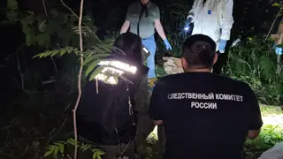 В Дивногорске в лесополосе нашли девушку с перерезанным горлом