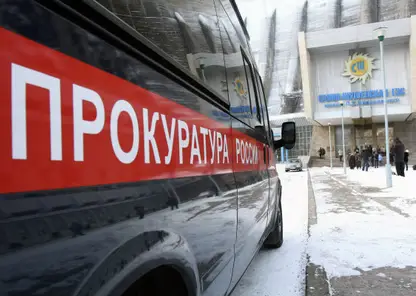 В Красноярском крае будут судить владельца участка за гибель 8-летней девочки
