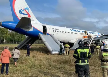 Самолет «Уральских авиалиний» совершил аварийную посадку в Новосибирской области из-за проблем с гидросистемой