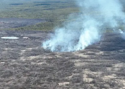 Природные пожары начались в национальном парке Бурятии
