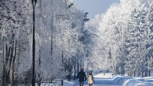 Похолодание до -21 градуса и небольшой снег ожидаются в Красноярске 5 декабря