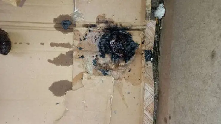 Житель Бурятии чуть не сжег свой балкон во время курения 