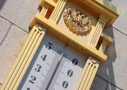 Аномальная жара прогнозируется в Алтайском крае