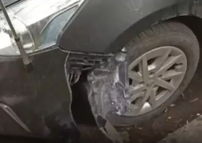 На правобережье Красноярска стая собак испортила семь автомобилей