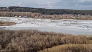 На реке Томь в Кемерово начался ледоход