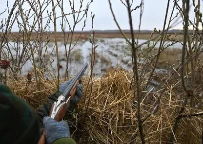 Сезон зимней охоты завершается в Красноярском крае