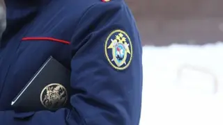 Младенец в коробке: в Новосибирской области спасли брошенного у дороги ребенка