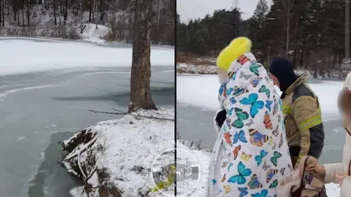 Жительница Томска хотела спасти свою собаку и прыгнула за ней в озеро