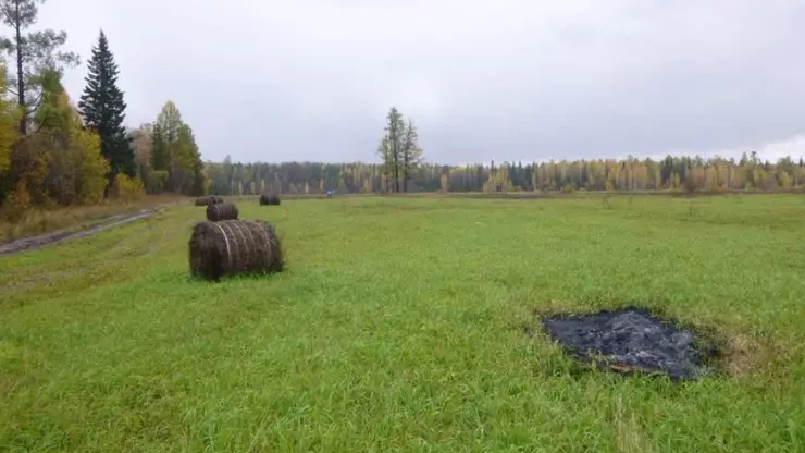 В Иркутской области нашли подозреваемого в поджоге 1,5 тонн сена